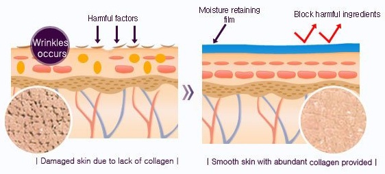 Mizon Original Skin Energy Collagen 100 Ampoule
