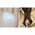 Secret Key So Fast Hair Booster Pack